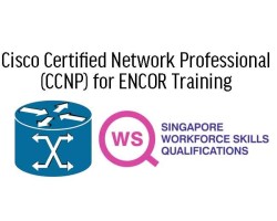 WSQ Cisco Certified Network Professional (CCNP) for ENCOR Training 
