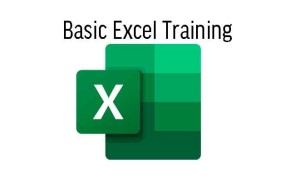 Basic Excel Training
