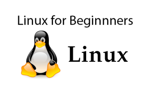 Linux for Beginners