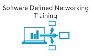 Software Defined Networking (SDN) Fundamental: Virtualisation of Networking, OpenFlow and Python Automation