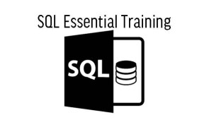 SQL Essential Training