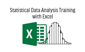 Statistical Data Analysis Training with Excel