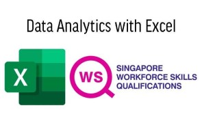 WSQ Data Analytics with Excel