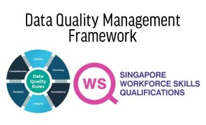 WSQ Data Quality Management Framework