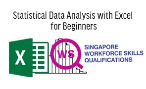 WSQ Statistics Data Analysis with Excel for Beginners 