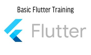 Basic Node.js Training in Singapore - node.js, nodejs, npm, what is node.js