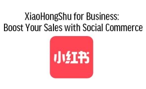 Mailchimp Email Marketing Training in Singapore