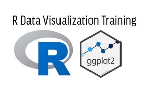 R Data Visualization Training in Ghana