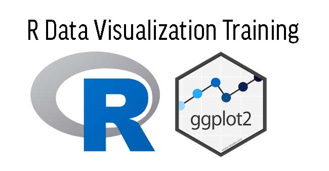 R Data Visualization Training in Singapore