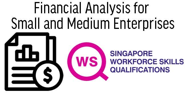 WSQ Financial Analysis for Small and Medium Enterprises