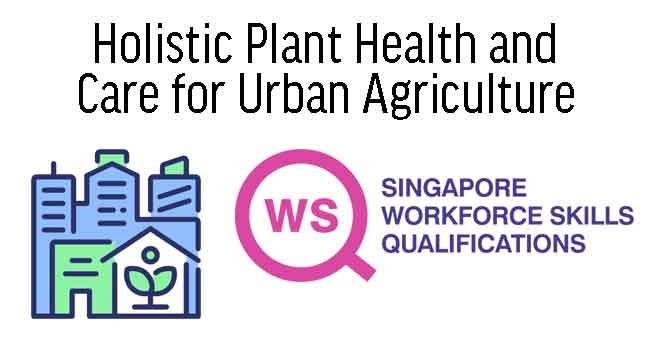 Manage Plant Health for Hydroponics Urban Farming